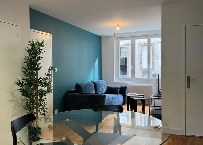 Contemporain Centre-ville Appartement